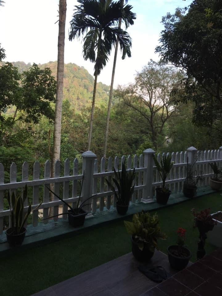 Villa25 Homestay Free Pick Up From The Centre Kandy Exterior foto