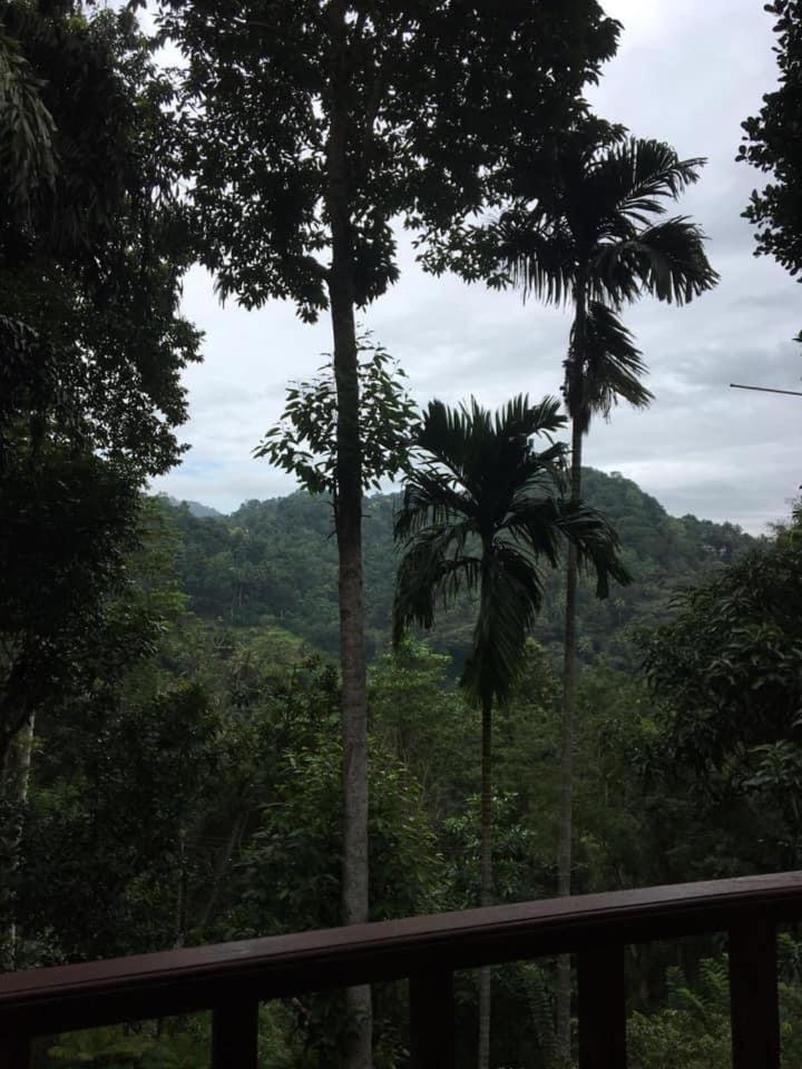 Villa25 Homestay Free Pick Up From The Centre Kandy Exterior foto